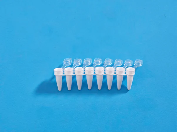 Maxiamp 0.2ml Tube Strips with attached Cap — catalogue illustration