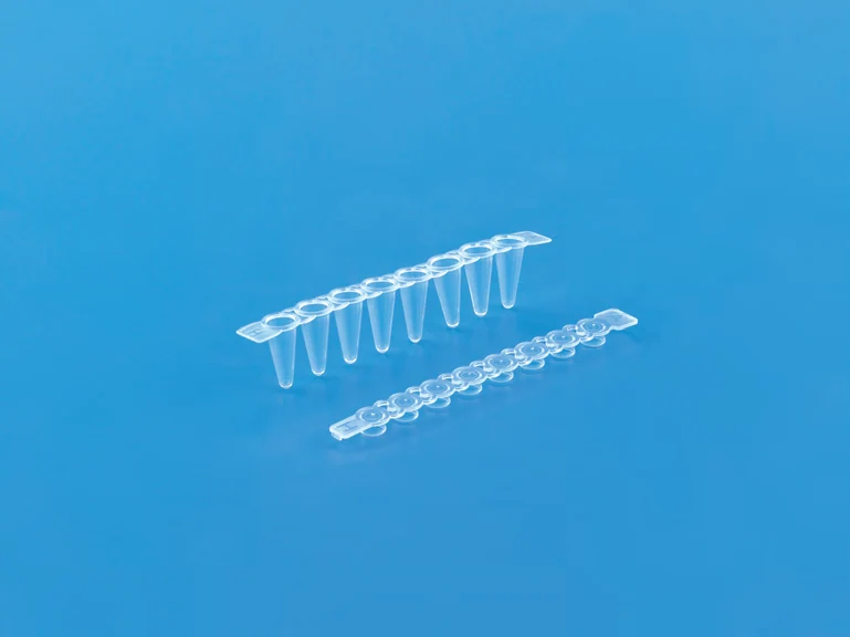 Maxiamp 0.1ml Tube Strips with Cap — catalogue illustration