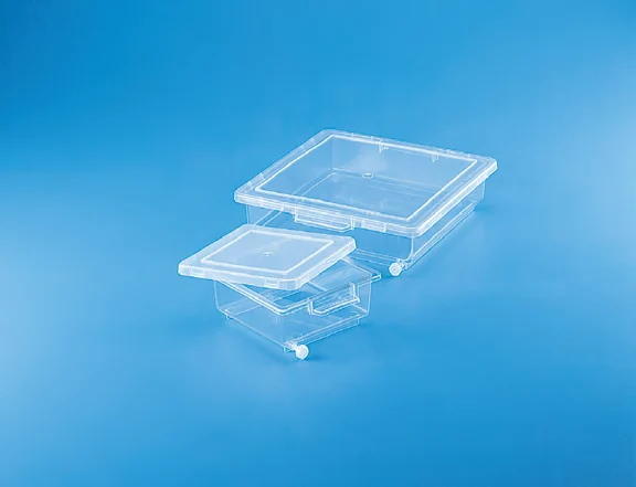 Staining Box, TPX/PP — catalogue illustration